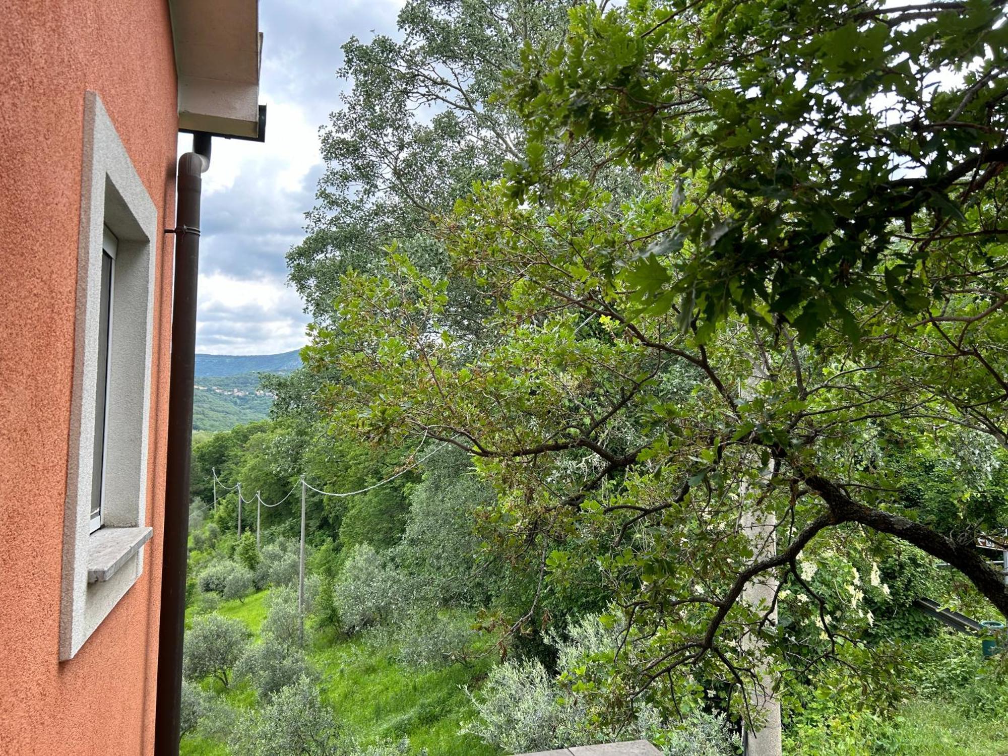 Ai 2 Olmi - Monolocali Nel Verde Múggia Zewnętrze zdjęcie